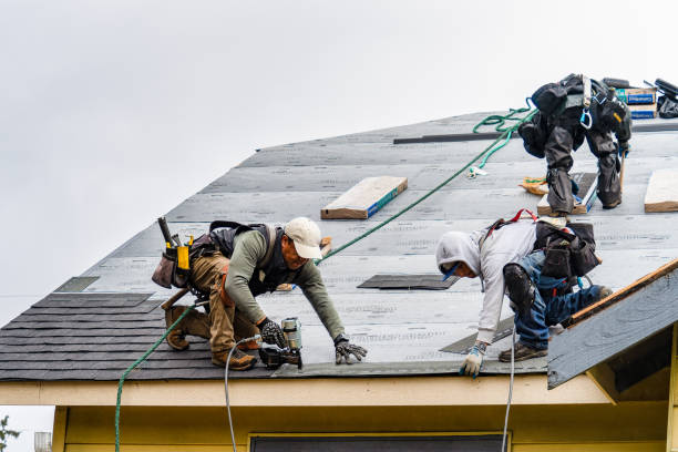 Professional Roof Installation technician working in Hollis Center, ME